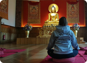 Meditation im Dharma Mati Tempel